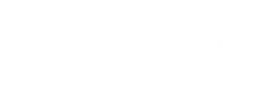 354679298 701846331703690 8899827276276046398 n